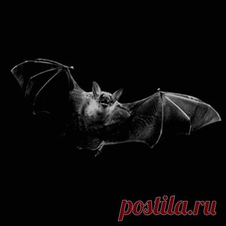 Гороскоп