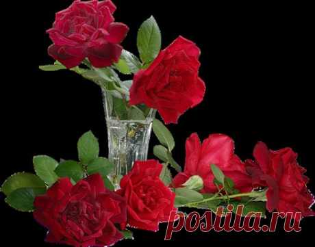 Плейкаст «♥♥ ОЧАРОВАНА ,ОКОЛДОВАНА♥♥»