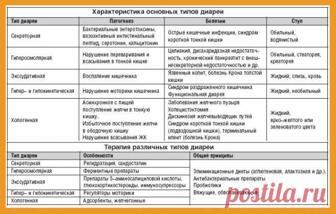 Хологенная диарея - Лечение поноса