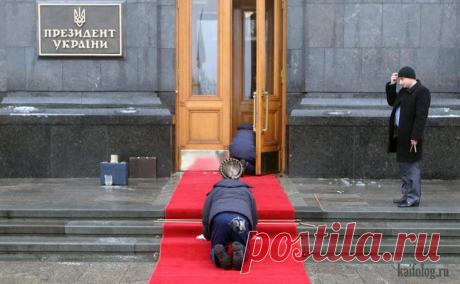 Фотожабы (80 фото)