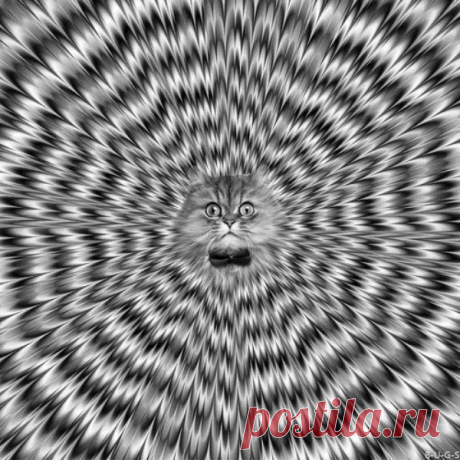 Светлана Сухинина