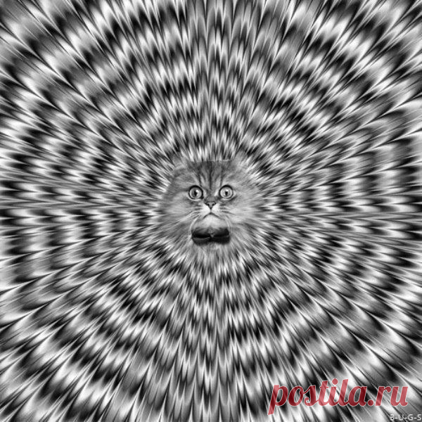 Светлана Сухинина