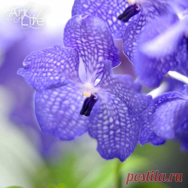 (9) Facebook