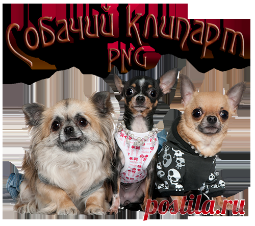 Собачий клипарт PNG