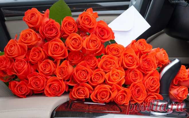 219227_kwiaty_bukiet_roze.jpg (2560×1600)