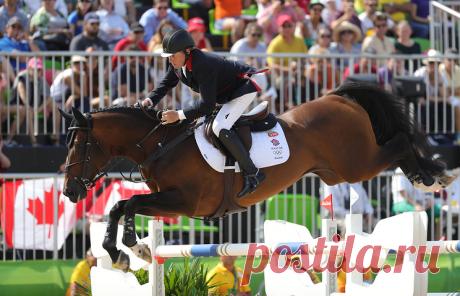Ник Скелтон. © EPA/ARMANDO BABANI. РИО-ДЕ-ЖАНЕЙРО, 19 августа. /ТАСС/. Британец Ник Скелтон завоевал золотую медаль Олимпийских игр в Рио-де- Жанейро в конном спорте в личном конкуре. Серебро выиграл швед Педер Фредриксон, бронза досталась представителю Канады Эрику Ламазу. Российские спортсмены не были представлены в данном виде программы. Подробнее на ТАСС: https://tass.ru/sport/3552601  |  ТАСС: Спорт - Британец Ник Скелтон завоевал золото ОИ в конном спорте в личном конкуре