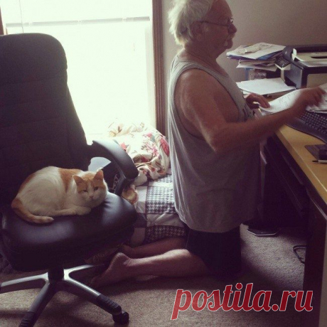 Наглость — второе счастье / Питомцы