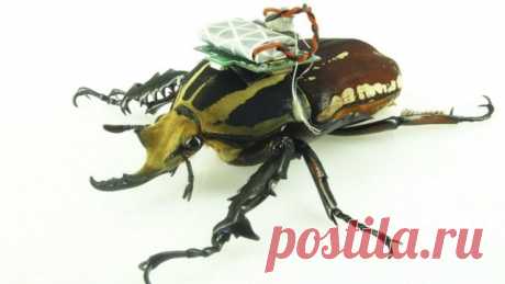 Вещи, которые ещё вчера были фантастикой