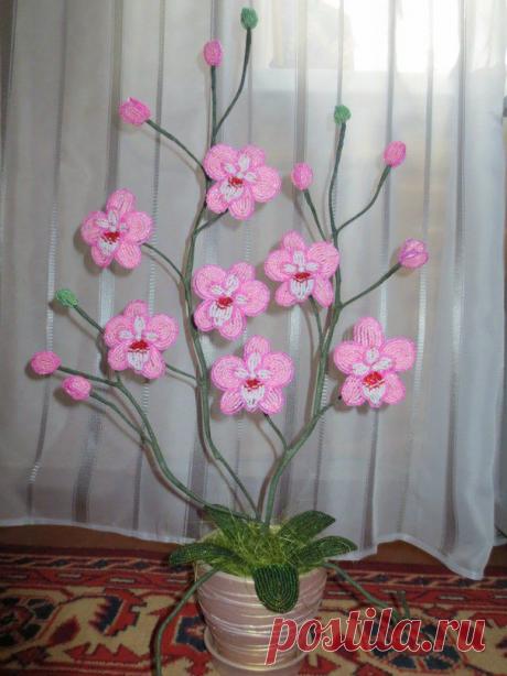 Обновления