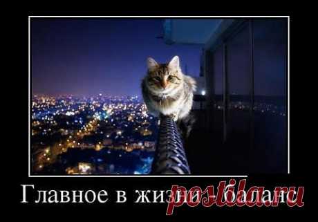 Прикольные демотиваторы | Приколисты в картинках