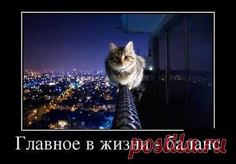 Прикольные демотиваторы | Приколисты в картинках