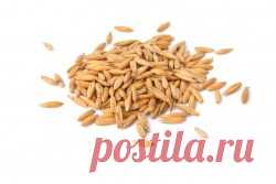 Овес купить в Москве | Шеф Орех
