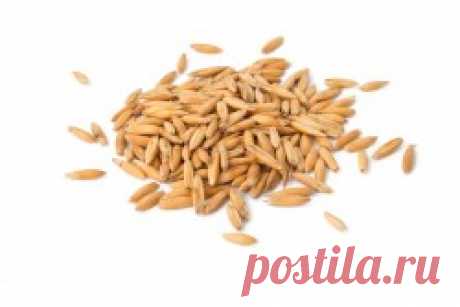 Овес купить в Москве | Шеф Орех