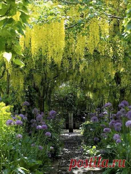 (1) Timeline Photos - Sociedad Argentina de Horticultura