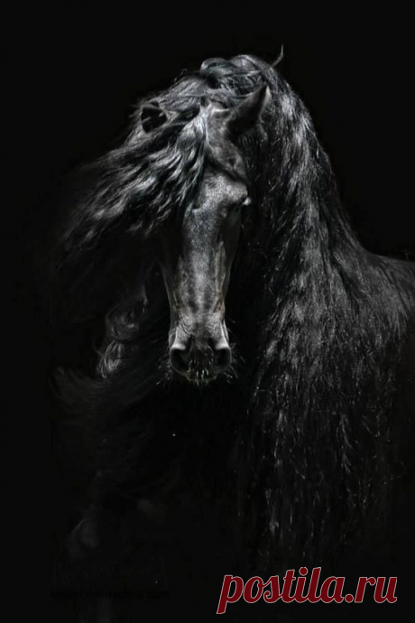 (1) Pinterest