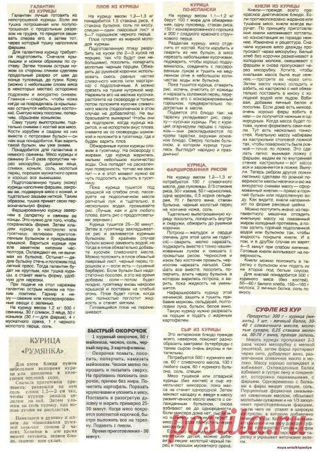 Галантин из курицы. Плов из курицы. Кнели из курицы. Сыр из курицы. Суфле из кур.