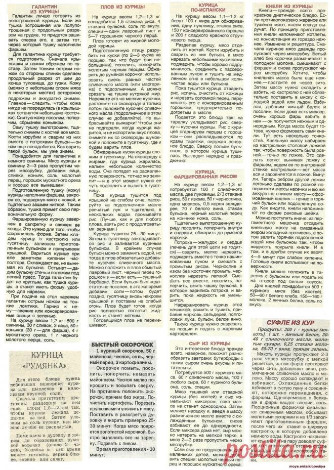 Галантин из курицы. Плов из курицы. Кнели из курицы. Сыр из курицы. Суфле из кур.