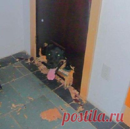 Мой Мир@Mail.Ru