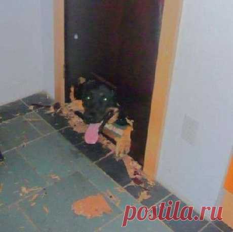 Мой Мир@Mail.Ru
