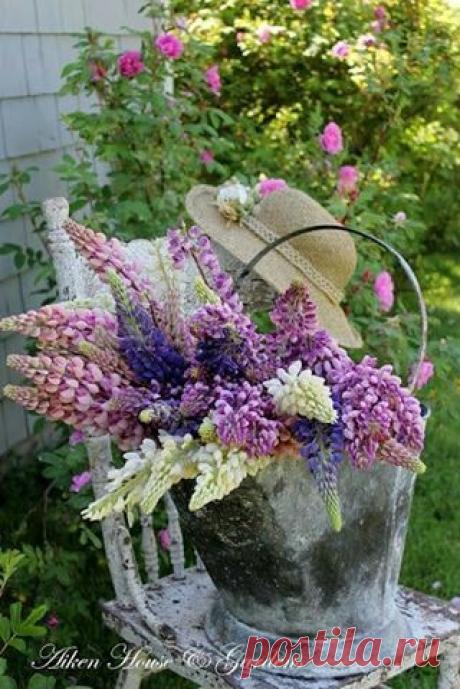 (33) Facebook