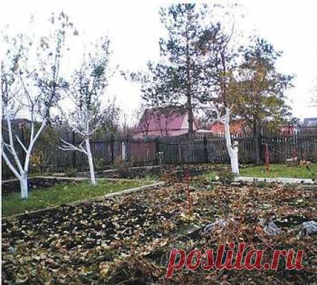 Урожай будущего года закладывается в октябре