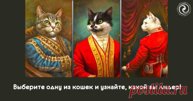 Выберите одну из кошек и узнайте, какой вы лидер! Эзотерика, самопознание, путь к себе, духовные практики, духовное развитие
