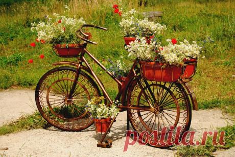 Идеи для дачи и сада | 689 фотографий