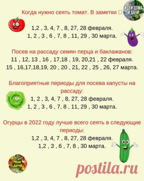 ПОСΕΒ ΗА РАССАДУ ΠО ЛУΗΗОΜУ ΚАЛΕΗДАРЮ В 2022 ΓОДУ.
Лучшие идеи для дома и дачи