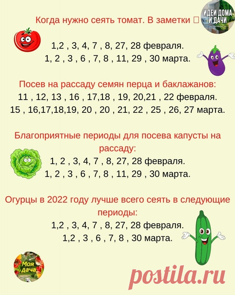 ПОСΕΒ ΗА РАССАДУ ΠО ЛУΗΗОΜУ ΚАЛΕΗДАРЮ В 2022 ΓОДУ.
Лучшие идеи для дома и дачи