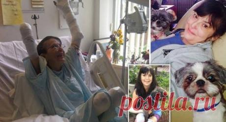 Игра с печальным финалом: женщина заболела сепсисом и перенесла три ампутации после укуса любимым псом Домашние любимцы — лучшие друзья, но никогда не нужно забывать, что у них есть животный инстинкт, который может проявиться в любой момент. Кристин Кэрон,