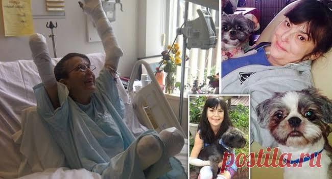 Игра с печальным финалом: женщина заболела сепсисом и перенесла три ампутации после укуса любимым псом Домашние любимцы — лучшие друзья, но никогда не нужно забывать, что у них есть животный инстинкт, который может проявиться в любой момент. Кристин Кэрон,