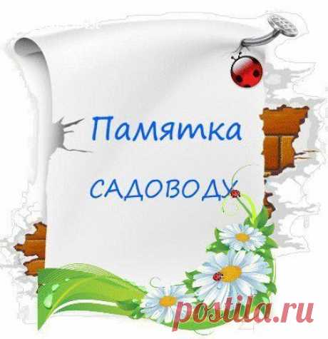 Памятка садоводу | Дачный участок