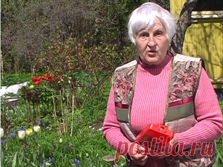 Огород без хлопот