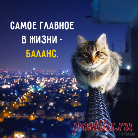 Фото Хроники - Фитнес для мозга | Facebook