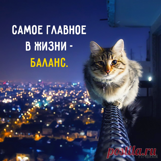Фото Хроники - Фитнес для мозга | Facebook