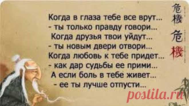 Мудрые слова и не менее мудрые советы — Полезные советы