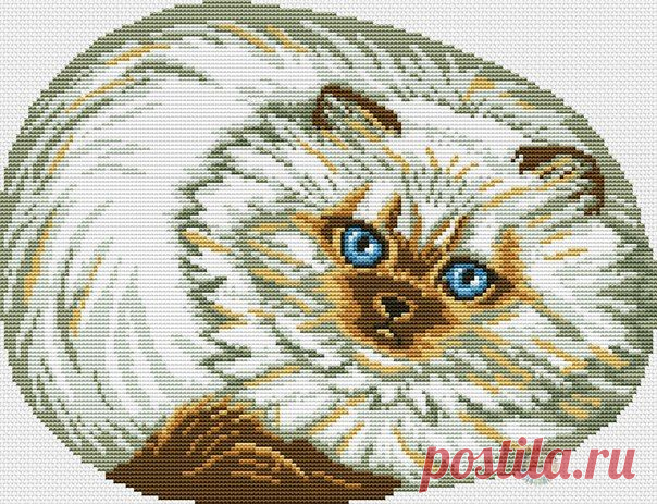 кот - Вышивка