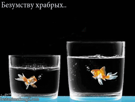 7914-Abissinka-FKzhTEbZ2E.gif (550×416)