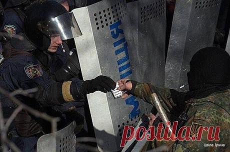 Всё-таки братья.