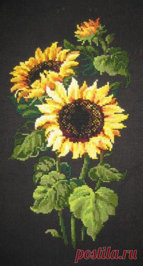 Подсолнухи панель - Цветы - Флора - СХЕМЫ - ВЫШИВКА КРЕСТОМ
