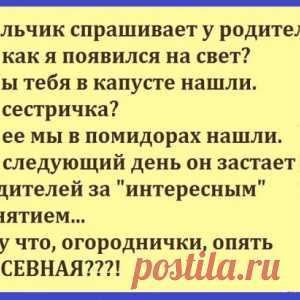 Лучшие приколюхи в стиле: 