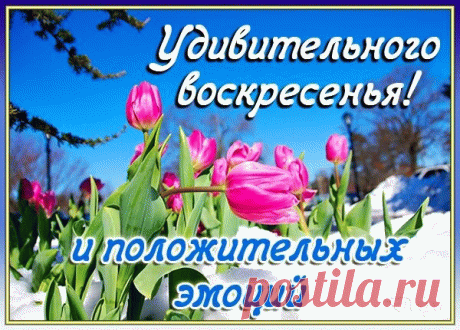 Удивительного Воскресенья! Положительных Эмоций!