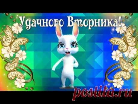 Со вторником🌼С добрым утром🌸Удачного вторника🌼Доброе Утро Вторника