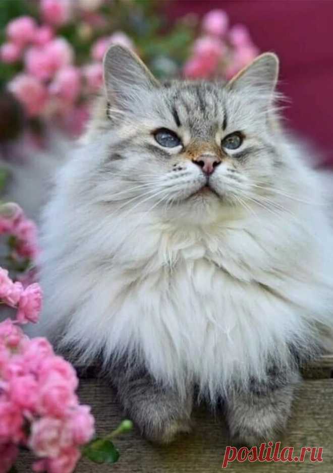 i (760×1080)