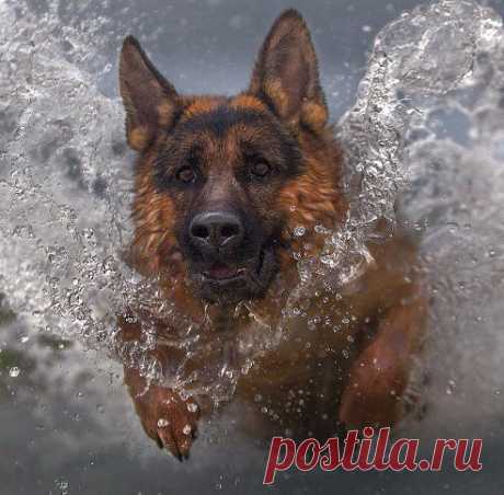 (57) Одноклассники