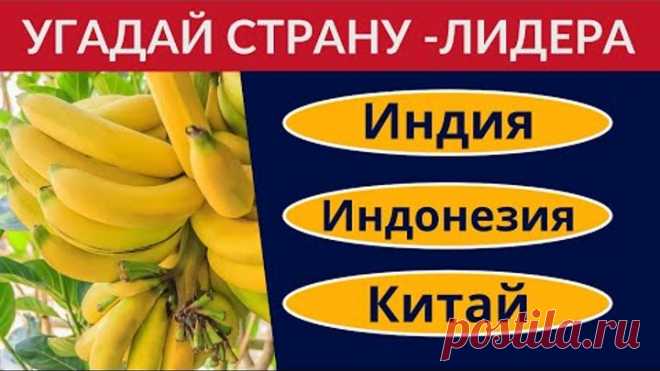 Крупнейшие производители в мире 🌍 Тест по географии и экономике 🌞 Угадай страну по продукту