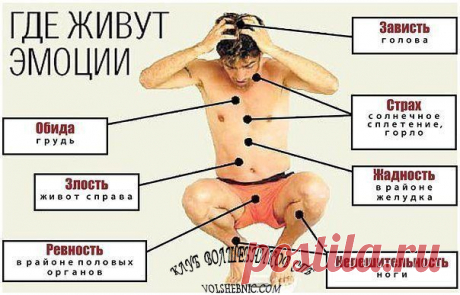 Картинки! | 614 фотографий