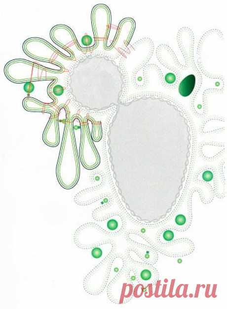 soutache embroidery pattern neck - Поиск в Google