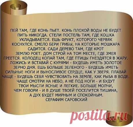 Светлана Архипова
Спасибо тем, кто выложил это!