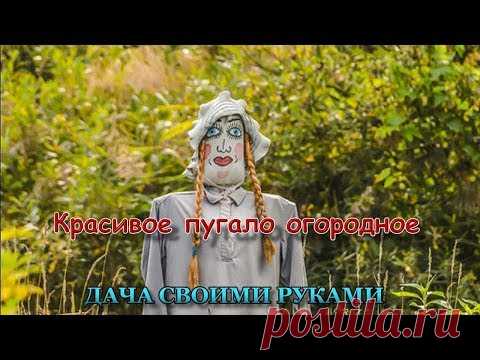 Дача своими руками. Красивое пугало огородное. - 
Огородное чучело служит как отпугиватель от злых и прожорливых птиц, так и для устрашения завистливых соседей и непрошеных гостей, а заодно украшает дачу, сад, огород.